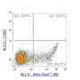 Anti-CCR4 Mouse mAb