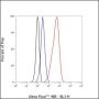 Anti-CDX2 Rabbit mAb