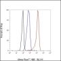Anti-CD43 Rabbit mAb