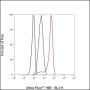 Anti-CD47 Rabbit mAb