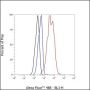 Anti-CD47 Rabbit mAb