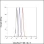 Anti-CD21 Rabbit mAb