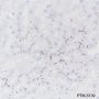 Anti-CD10 Rabbit mAb
