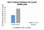 Anti-Crotonyl-Histone H3 (Lys9) Rabbit pAb