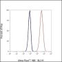 Anti-CD45 Mouse mAb