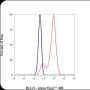 Anti-CD1a Mouse mAb