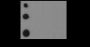 Anti-Crotonyl-Histone H3 (Lys4) Mouse mAb