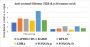 Anti-Crotonyl-Histone H2B (Lys16) Mouse mAb