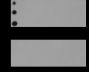 Anti-Crotonyl-Histone H3 (Lys14) Rabbit pAb