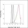 Anti-Vimentin Rabbit mAb