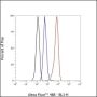Anti-Keratin 14 Rabbit mAb