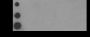 Anti-Crotonyl-Histone H3 (Lys18) Mouse mAb