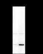 Anti-Crotonyl-Histone H4 (Lys8) Rabbit mAb