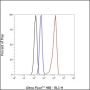 Anti-Myosin Light Chain 3 Rabbit mAb