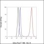 Anti-EGFR Rabbit mAb