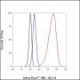 Anti-Keratin 20 Rabbit mAb