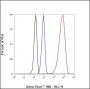 Anti-NSE Rabbit mAb