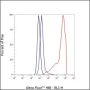 Anti-NSE Rabbit mAb