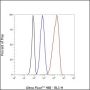 Anti-p130Cas/BCAR1 Rabbit mAb