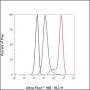 Anti-Bcl-2 Rabbit mAb