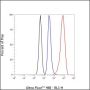 Anti-CD168 Rabbit mAb