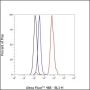 Anti-Cystatin A Rabbit mAb