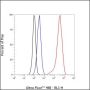 Anti-alpha Smooth Muscle Actin Rabbit mAb