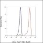 Anti-CD90/Thy1 Mouse mAb