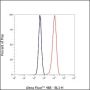 Anti-JAM-A Mouse mAb