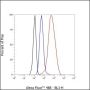 Anti-Cofilin-1 Rabbit mAb