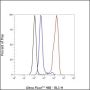 Anti-CD19 Rabbit mAb