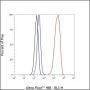 Anti-FOXA1 Rabbit mAb