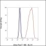 Anti-Phospho-CREB (Ser133) Rabbit mAb