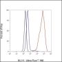 Anti-Calpastatin Rabbit mAb