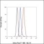 Anti-Chromogranin A Rabbit mAb