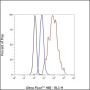 Anti-Keratin 5 Rabbit mAb