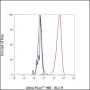 Anti-CD62L Rabbit mAb