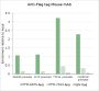 Anti-DYKDDDDK Tag Mouse mAb (Binds to FLAG® Tag Sequence)