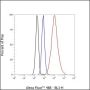 Anti-NPM1 Rabbit mAb