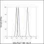 Anti-CDK4 Rabbit mAb