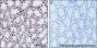 Anti-Dimethyl-Histone H3 (Lys9) Rabbit pAb