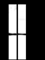 Anti-Prion protein PrP Rabbit mAb