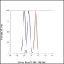 Anti-ATG4B Rabbit mAb
