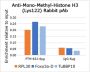 Anti-Monomethyl-Histone H3 (Lys122) Rabbit pAb
