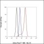 Anti-CD7 Rabbit mAb
