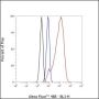 Anti-MCM7 Rabbit mAb
