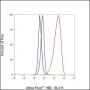 Anti-OLR1/LOX1 Rabbit mAb