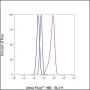 Anti-COX IV Rabbit mAb