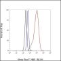 Anti-Lamin A/C Rabbit mAb