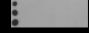 Anti-Trimethyl-Histone H3 (Lys23) Mouse mAb